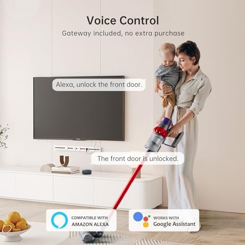 Hornbill Smart WiFi Front Door Lock with Alexa