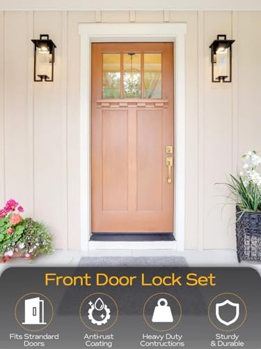 EHOMEWARE Gold Front Door Handle Set