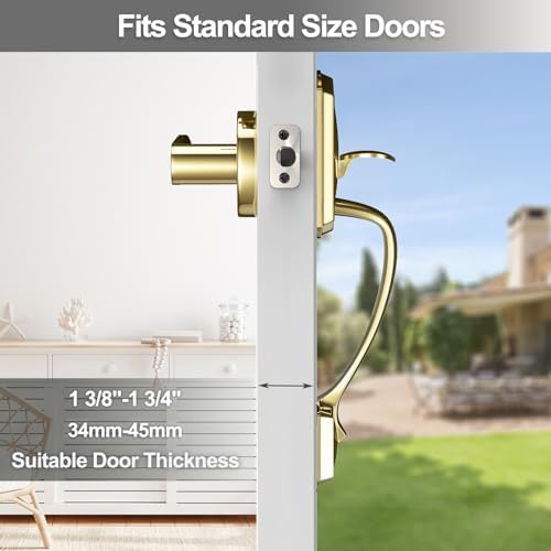 Front Door Handle Set Reversible Lever for Home Businesses