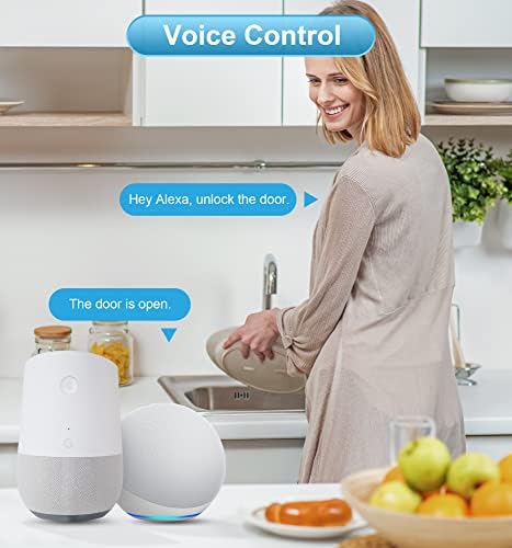Veise Fingerprint Front Door Lock