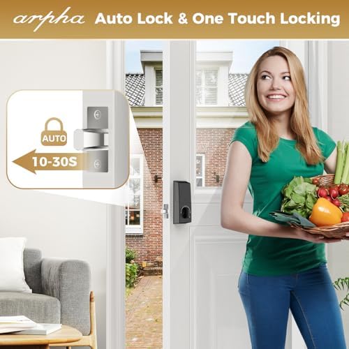 Zinc Alloy Fingerprint Keyless Entry Door Lock