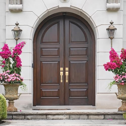 Keep Your Family Safe with the Haidms Gold Double Door Lock Set